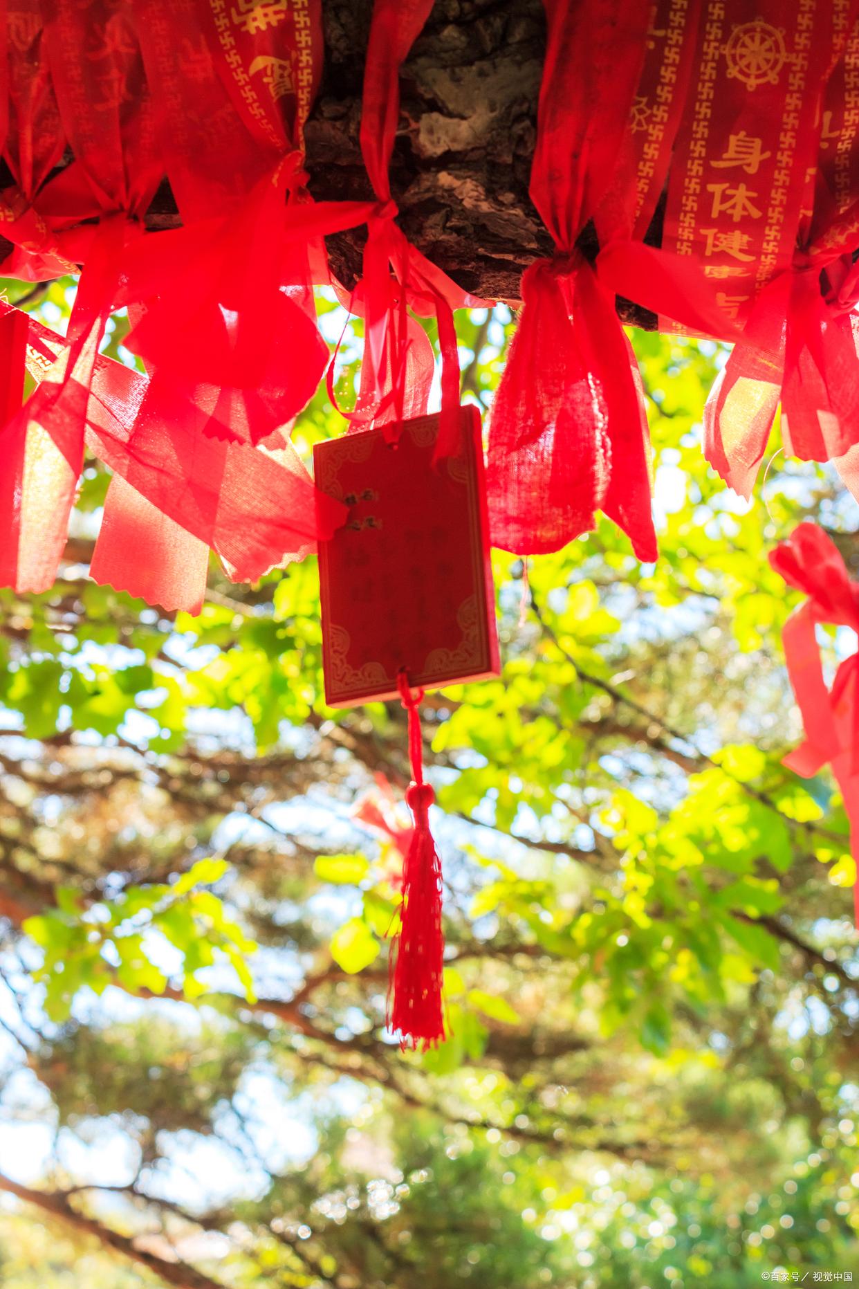 浼犵粺鑺傛棩娓呮槑鑺傚湪鍝釜瀛h妭,鎴戜滑鐨勪紶缁熻妭鏃ユ竻鏄庤妭鐢荤敾