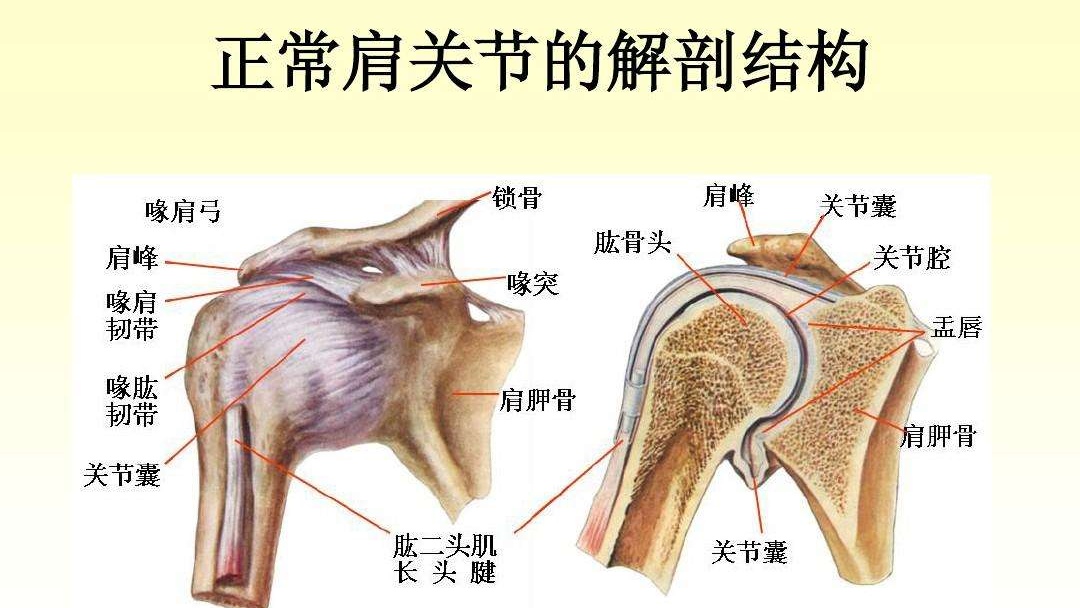 肩膀疼痛要警惕的三种病肩周炎,肩周炎是什么原因造成的肩膀痛