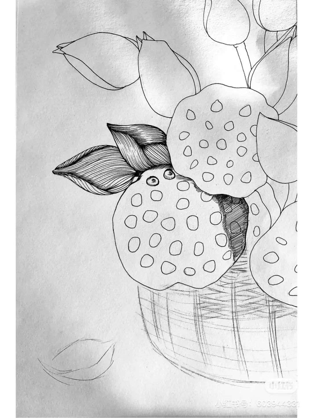 针管笔画线条练习,针管笔黑白装饰画线描