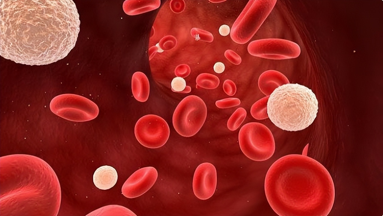 人老了不在于走路,人老了长寿不在于多运动