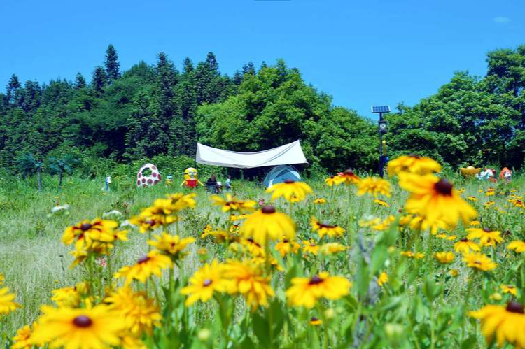 夏季重庆周边避暑,重庆附近避暑旅游2-3天推荐地方