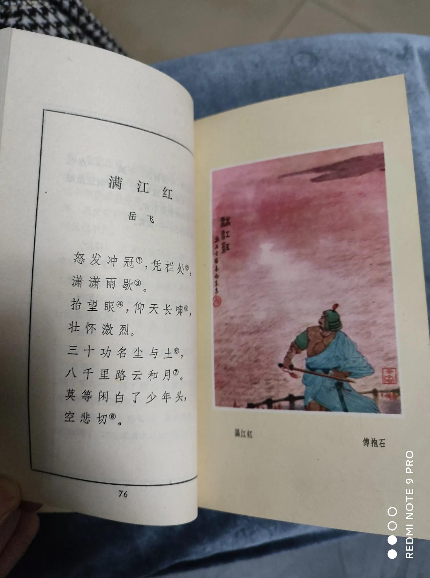 差一点买“珠”还“椟”——购«古代诗歌选»小记