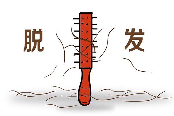 每天洗头发会导致脱发吗,每次洗头头发都掉一大把该怎么办