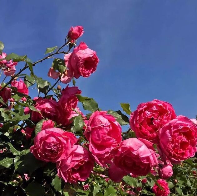 微信参数有问题怎么解决,微信提示网络通信出问题怎样解决