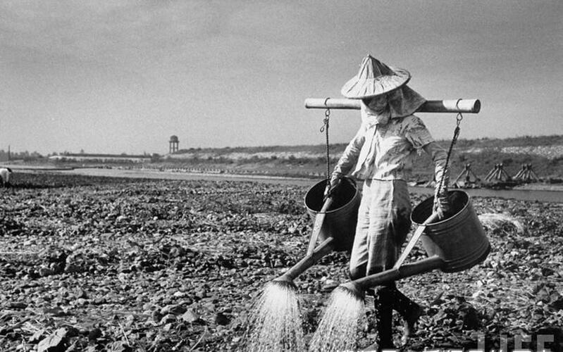 台湾现阶段的经济怎么样,台湾发展经济的不利条件