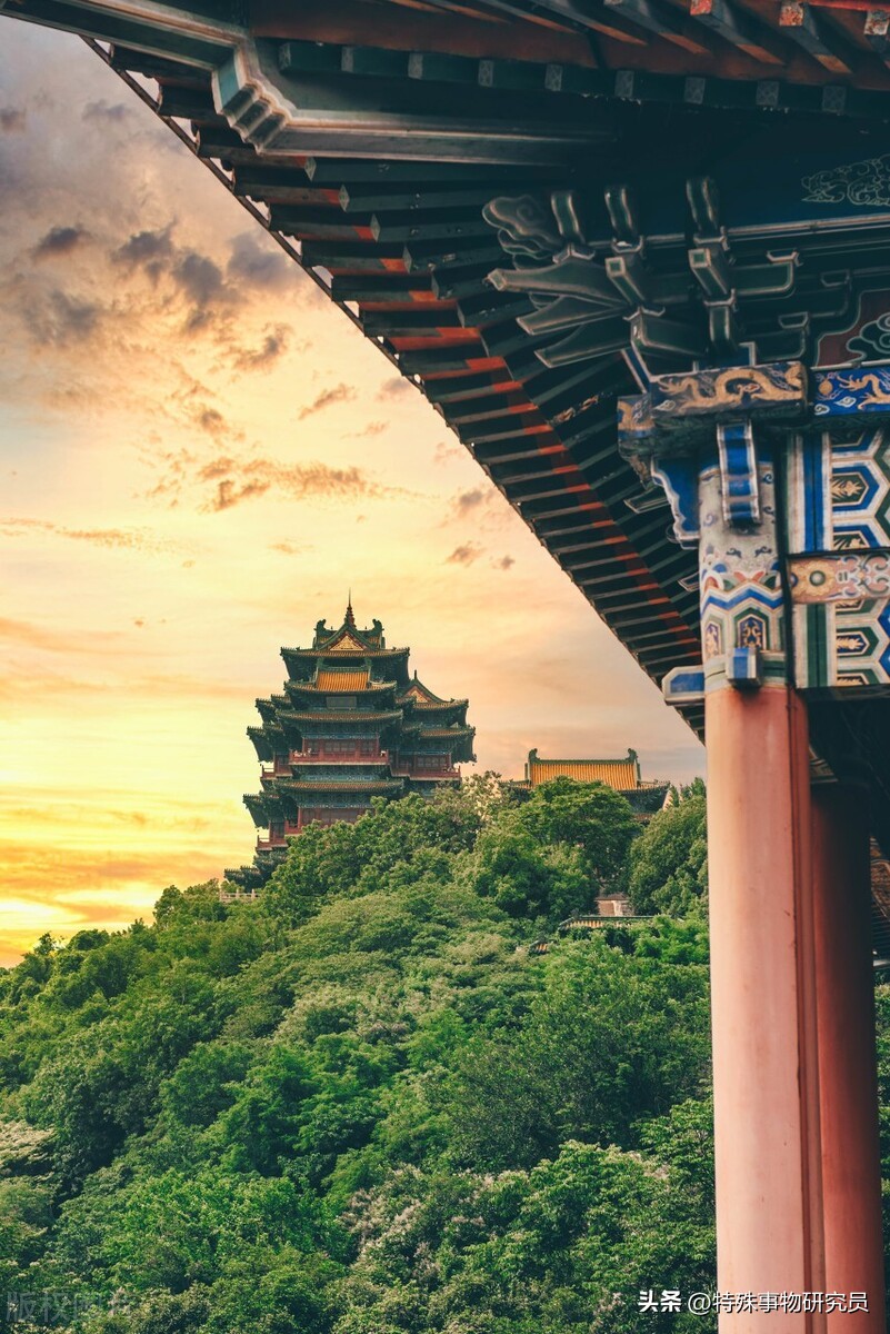 南京奥体四季之美,南京真的很美吗