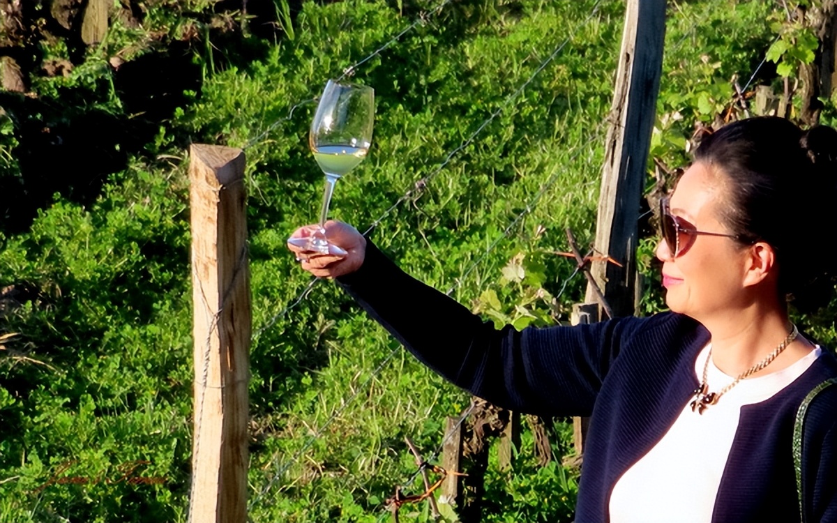 波尔多2020年份和2021年份,2021波尔多年份怎么样