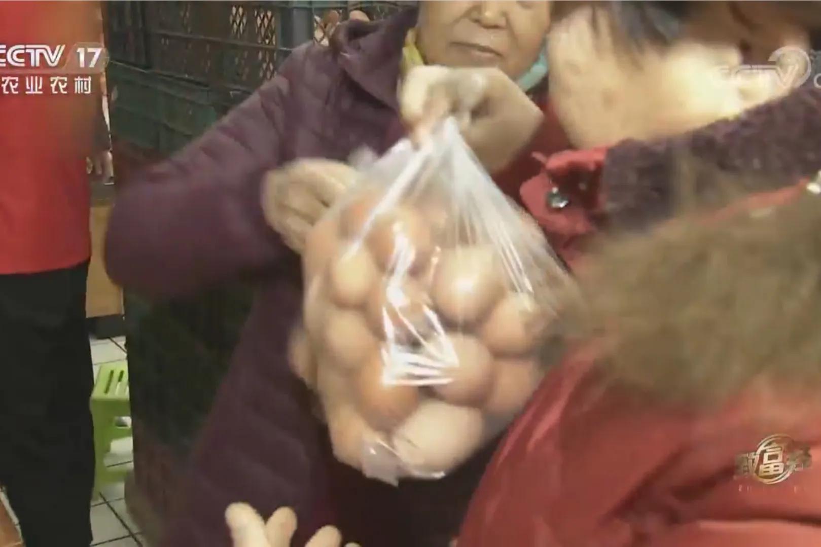 承包荒山致富的例子,美女承包52亩山地