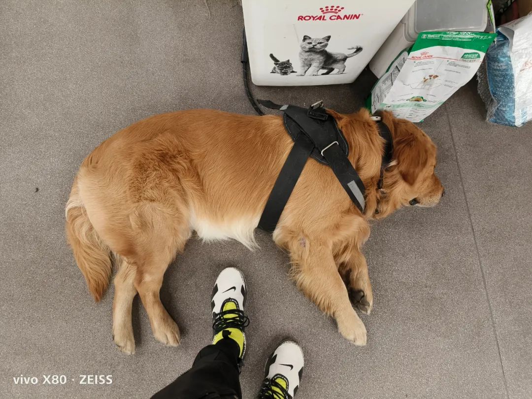 2999的天玑9300能买吗,目前值得购买的天玑9000