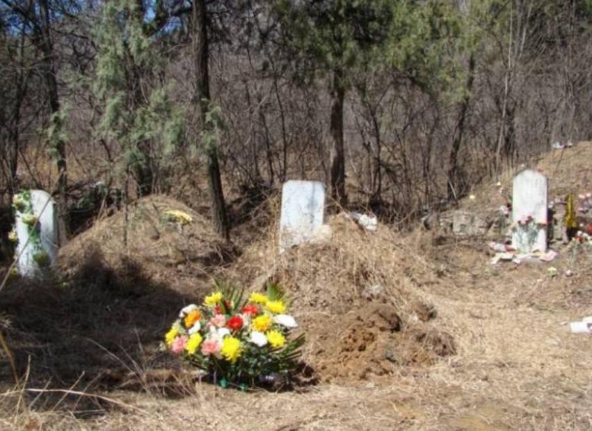 鍏绘仼涓嶅強鐢熸仼澶уコ鍎胯鎶涘純,鍏绘仼澶т簬鐢熸仼鐨勫皬濂冲