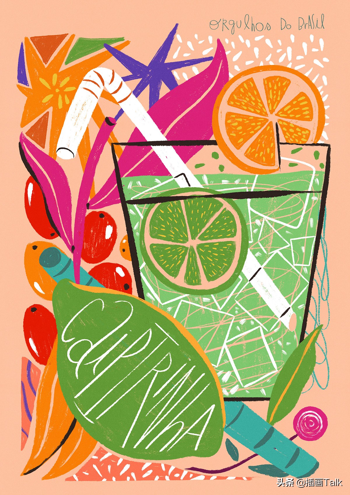 巴西插画师泰拳,巴西插画师jaza动物插画系列