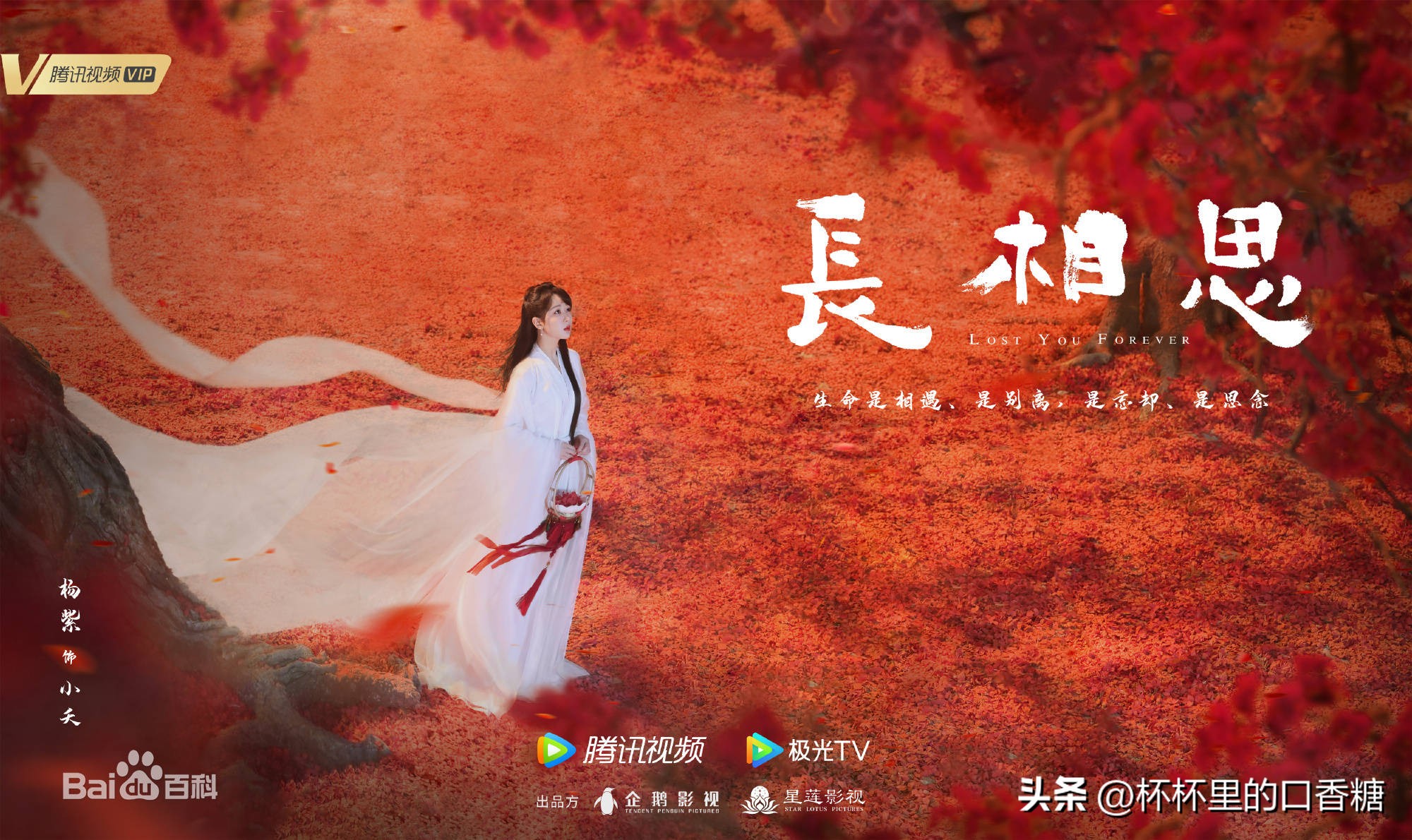 2023暑期最有望爆火电视剧！《偷偷藏不住》第八《长风渡》第二