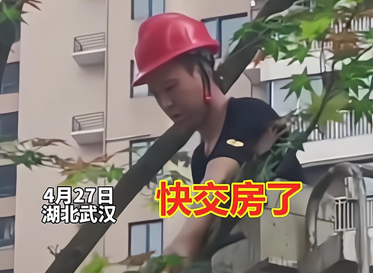 开发商冒充业主收房,开发商给买房者造假资料