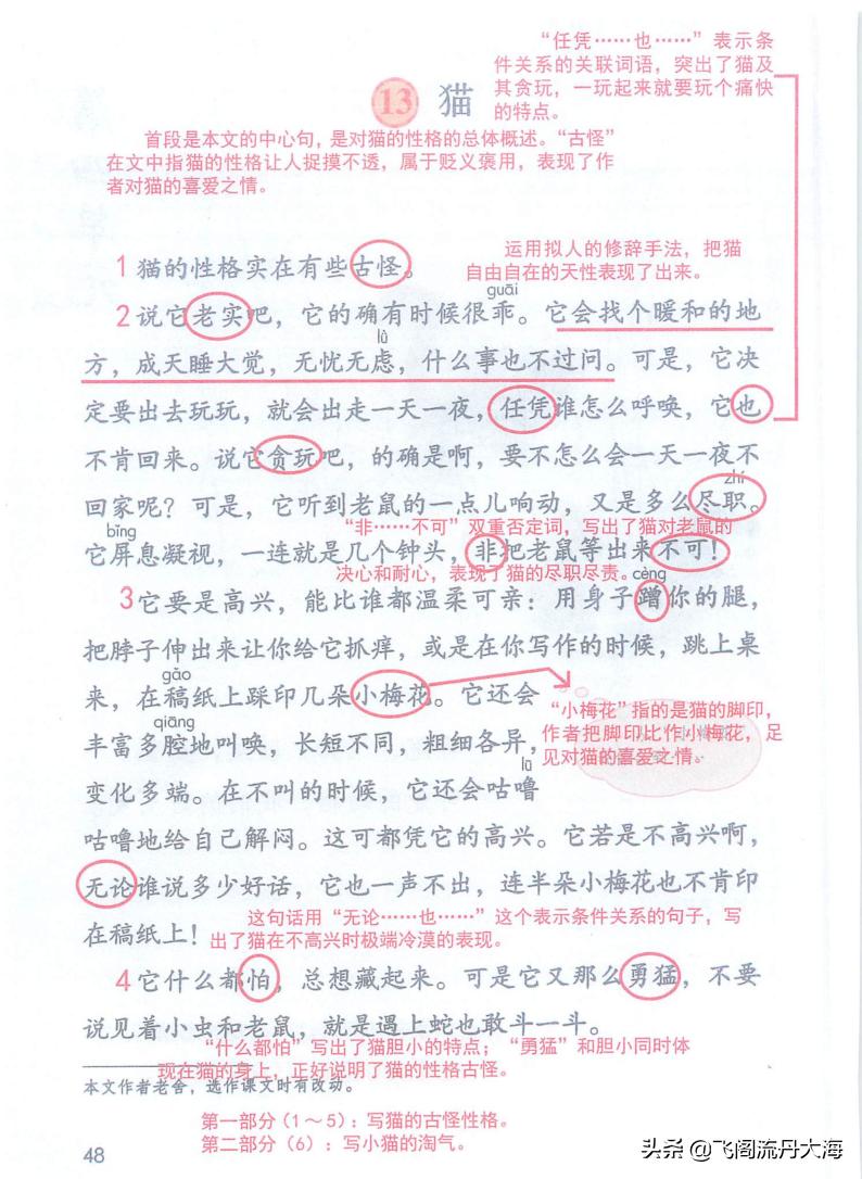 四下语文13课猫课堂笔记,四年级语文下册13课猫课后练习题