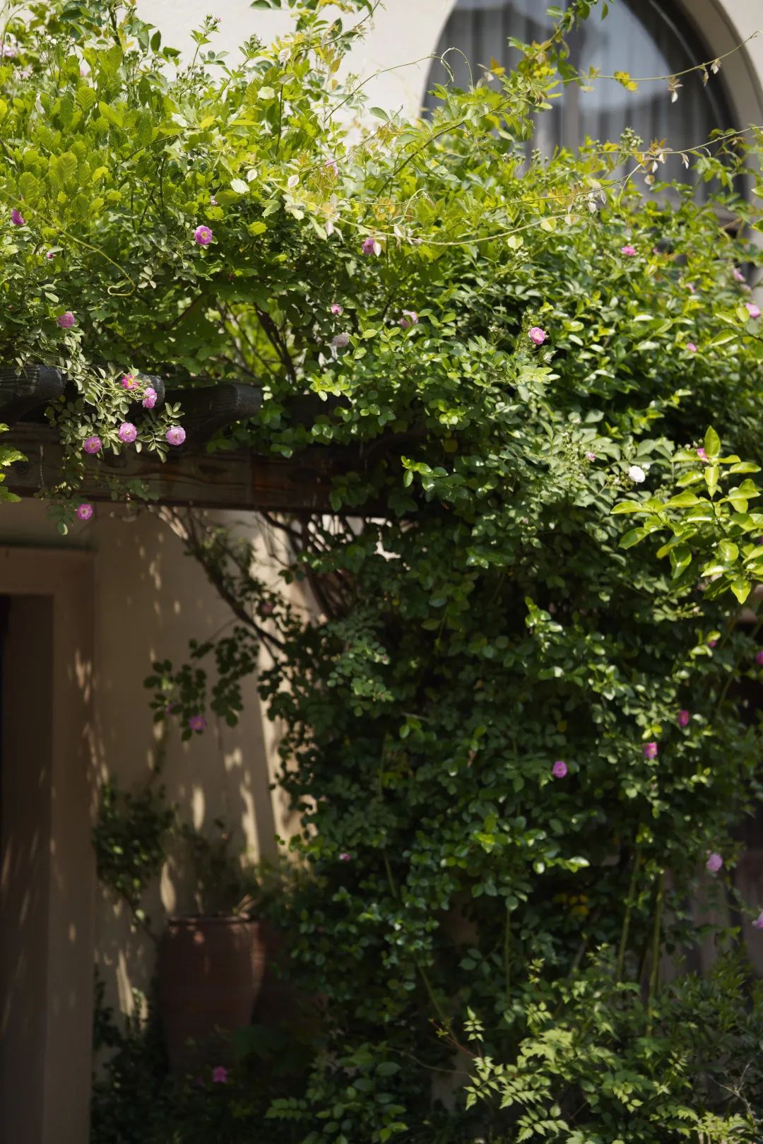 繁华与幽静之间房子,静谧与繁华之间