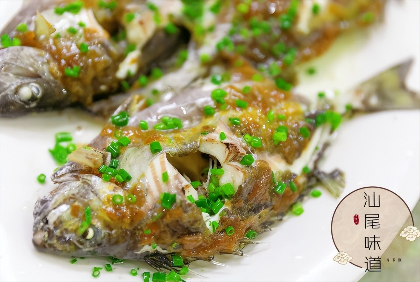 广州到潮汕自驾游攻略图,广州到潮汕自驾游路线攻略