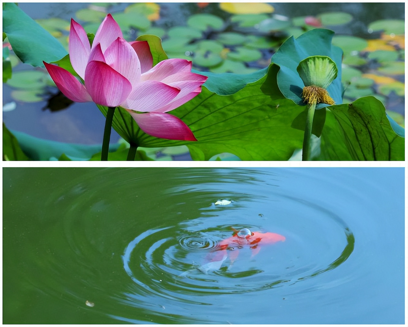 湖北十大最美大学,全国最美十大高校高清图片