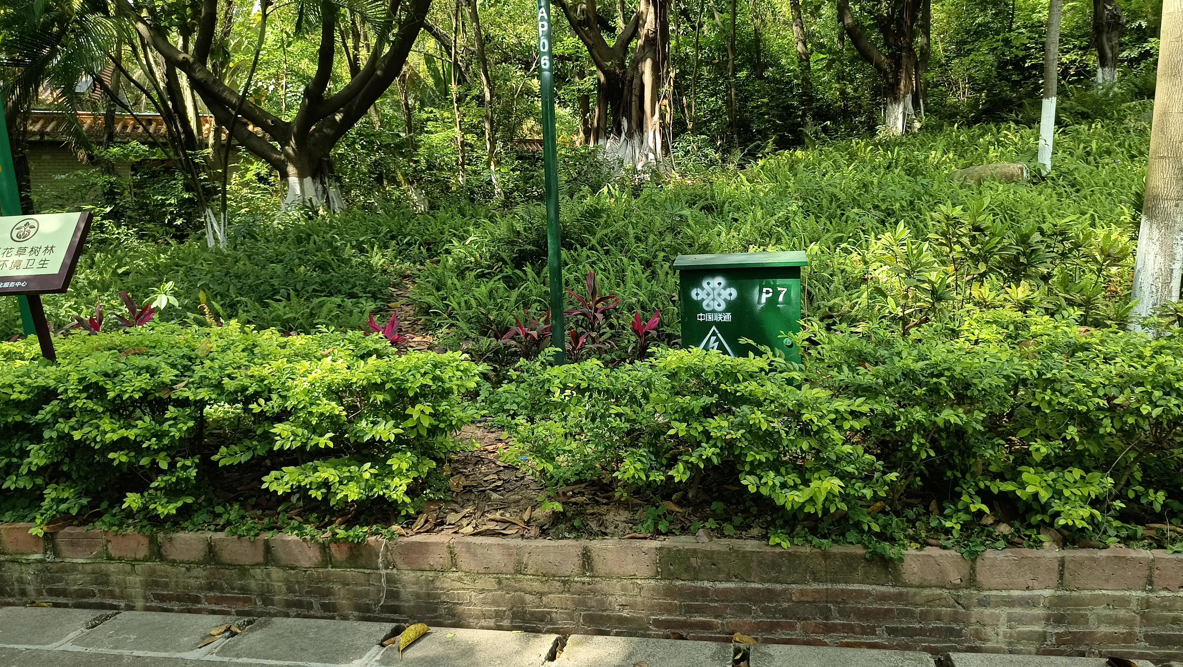 我的爱好日语作文200字,日语作文我的兴趣爱好是旅行