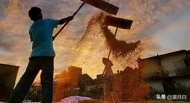 河南信阳小伙娶日本市长,河南农村小伙娶回日本市长