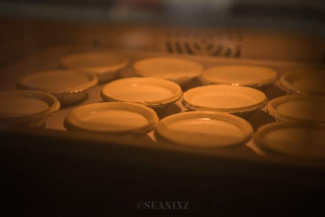 大宇k9和大厨db610d蒸烤箱哪个好,大宇蒸烤箱k7和k9