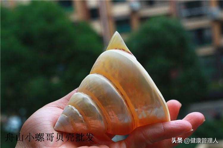 海鲜贝类品种大全及名字,22种海鲜贝类做法大全