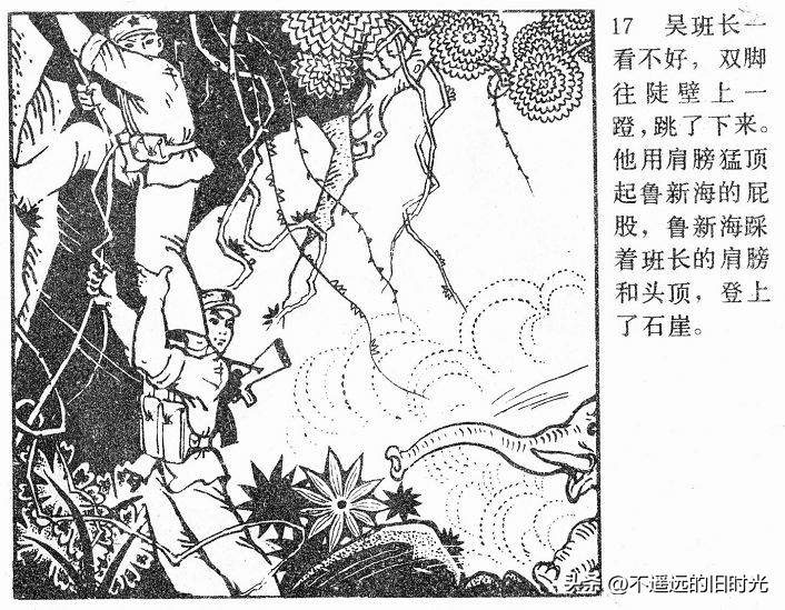 大象搬家,大象搬家河北