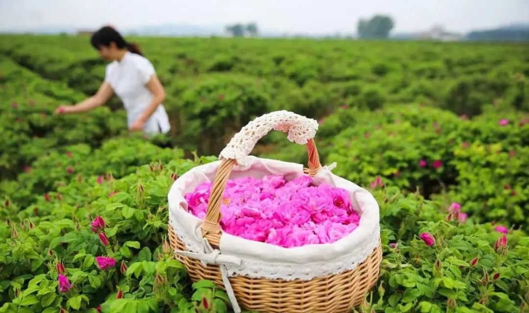 黄石市a级景区,黄石春节免费景区