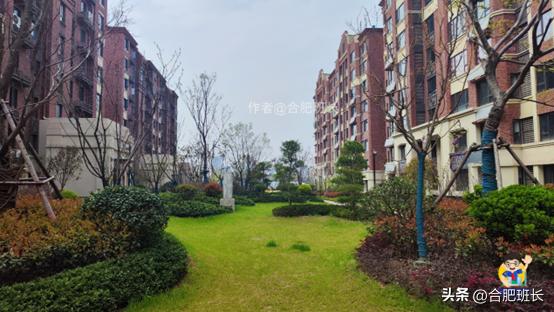 乐富强悦湖熙岸摇号公示,乐富强悦湖熙岸摇号房源数