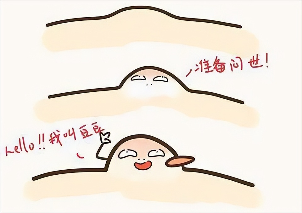 奶酪评测,12款奶酪的超深度评测