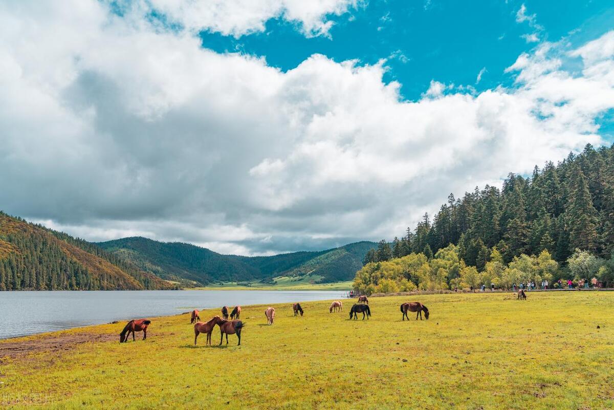 无边丝雨细如愁——40句经典诗词带您品味极致忧愁