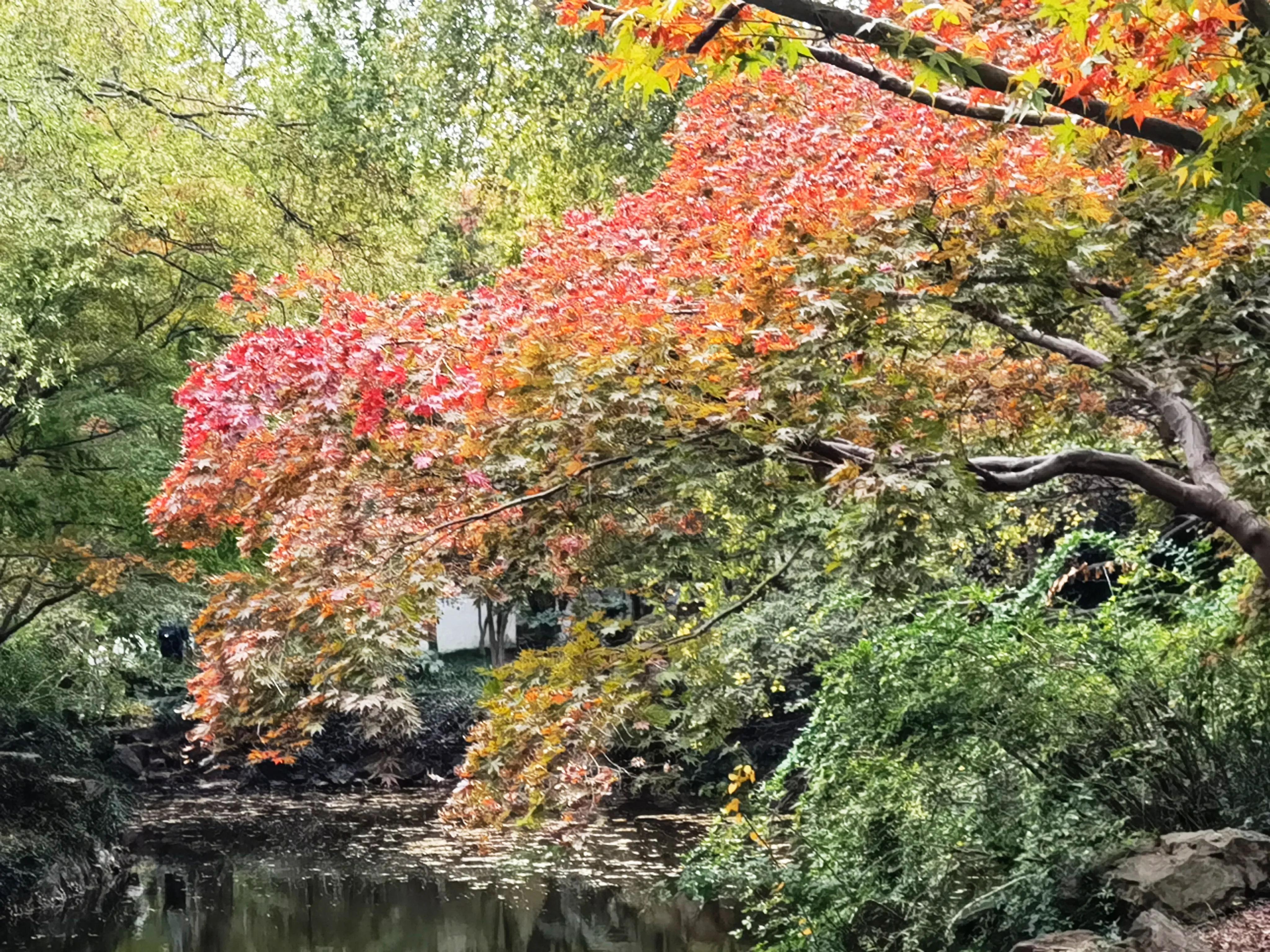 嘉定区一日游攻略,嘉定一日游必去景点小吃