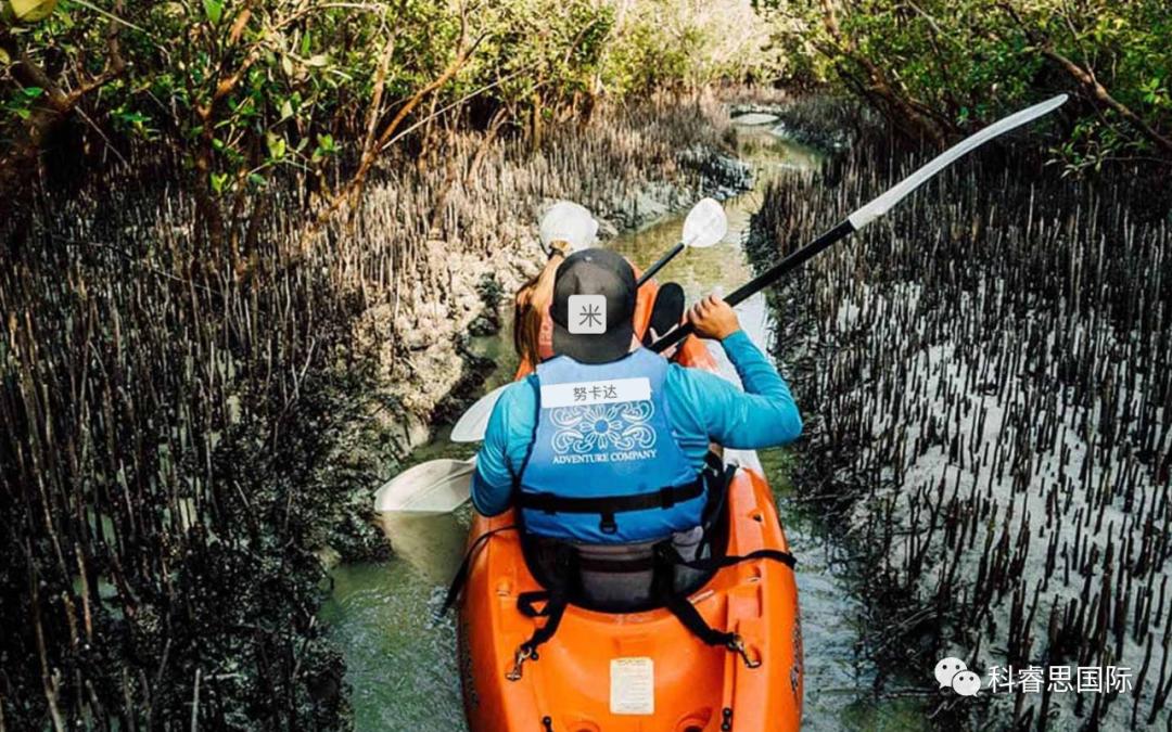 为阿联酋探索太空的计划,为环球旅行做准备