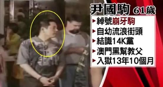 周焯华的网站,周焯华最新抖音视频