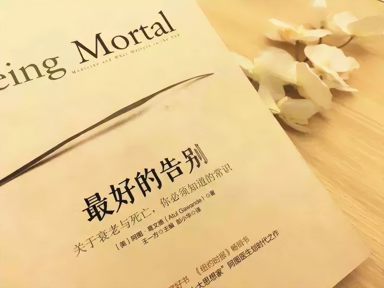 临终关怀六种步骤,临终关怀中对生命的感悟