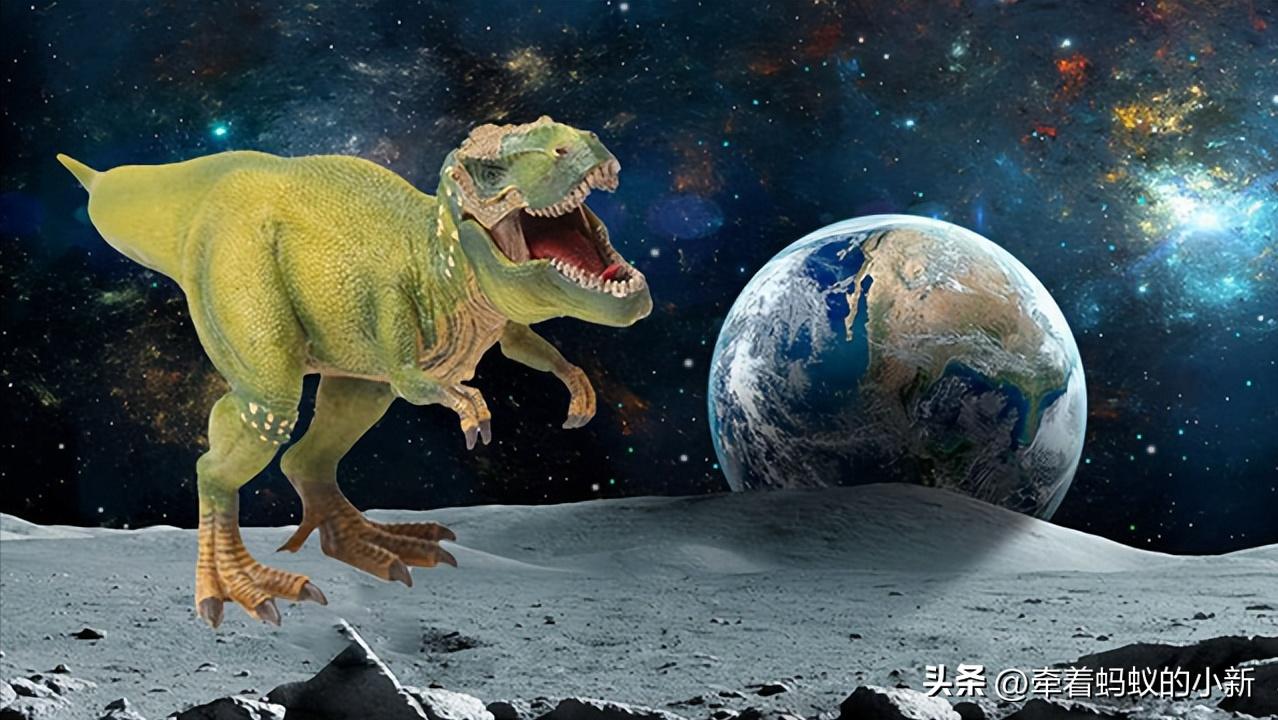 恐龙的分类以及特征,科普恐龙的种类和特点