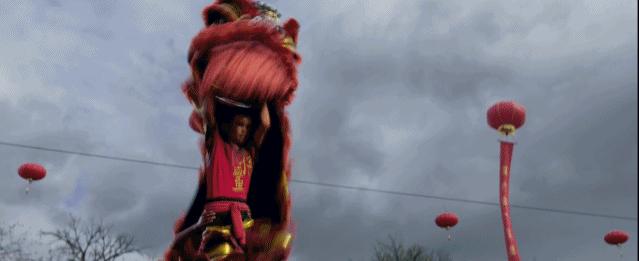 超前点映获8.3高分！口碑炸裂国漫上映，里面竟然有个南海→