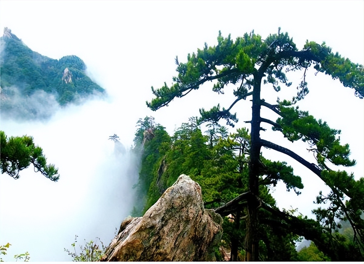 黄山三清山张家界华山,张家界尧山风景区