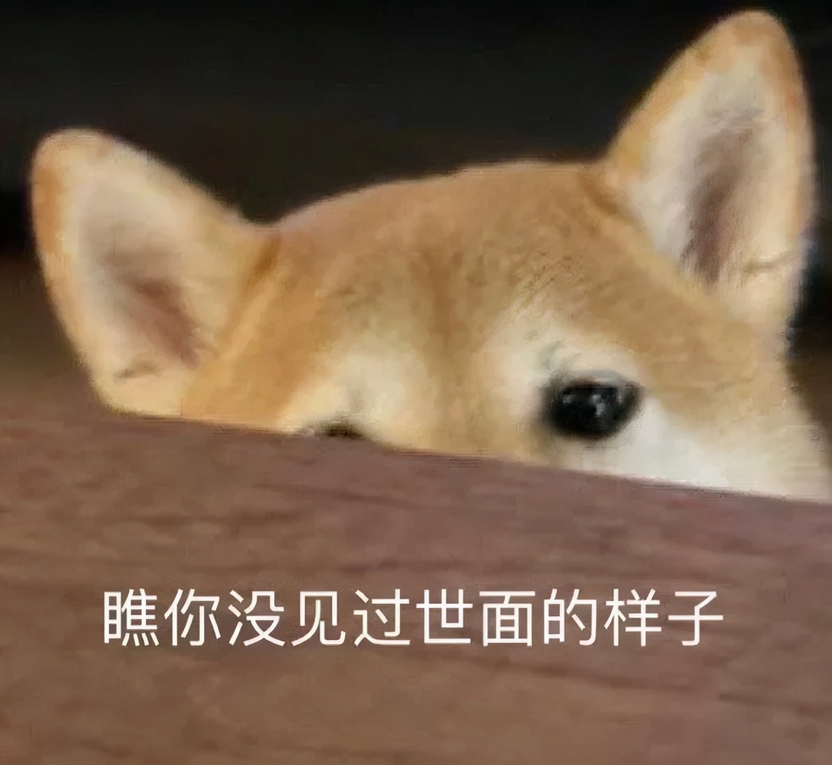 家庭监控下的一幕真实视频完整版,家庭监控下的真实一幕