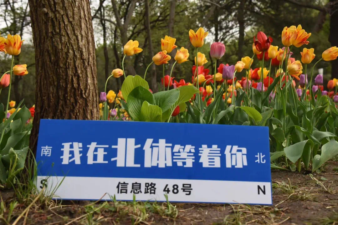 中国最出名的五所体育大学,北体是最好的体育大学