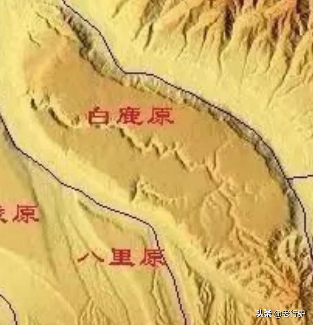 白鹿原白鹿白仙子,白鹿原的白灵和鹿兆海