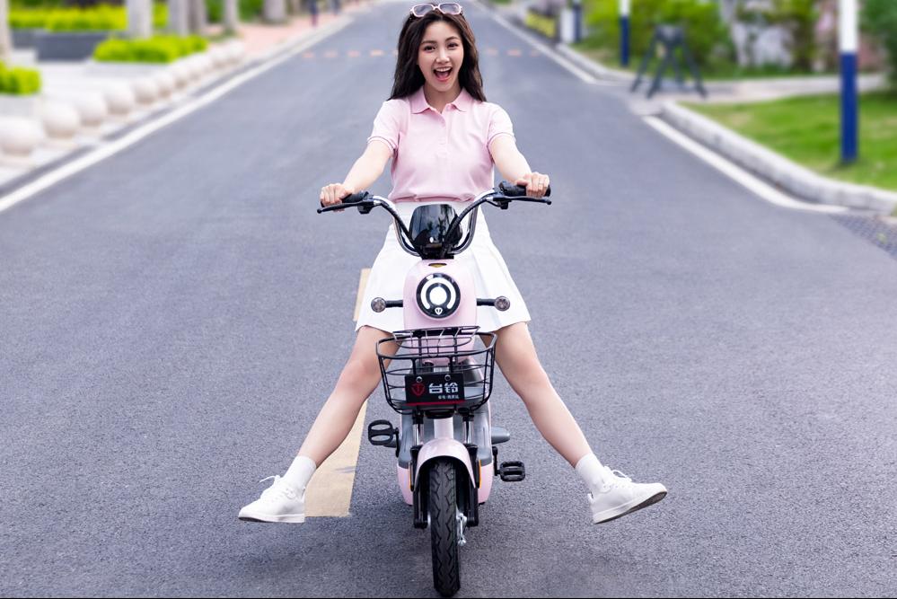 现在电动车都用什么电机,怎么选择电动车动力大小