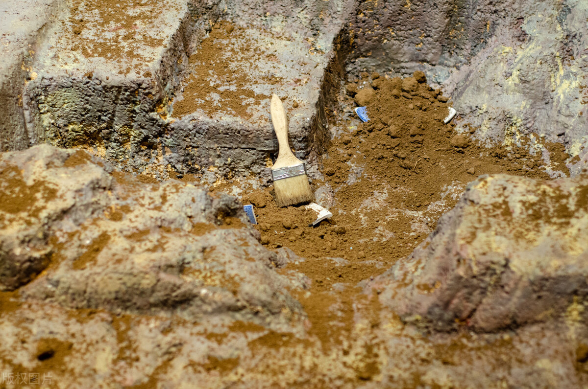 黄河文明的起源和演变,中华几千年文化从黄河起源