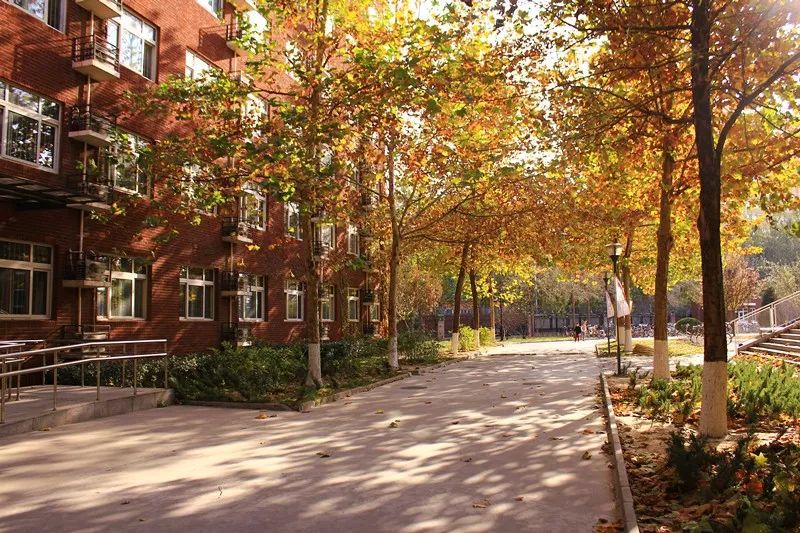 北京外国语大学：语言类高校天花板！2021年录取详情及分析