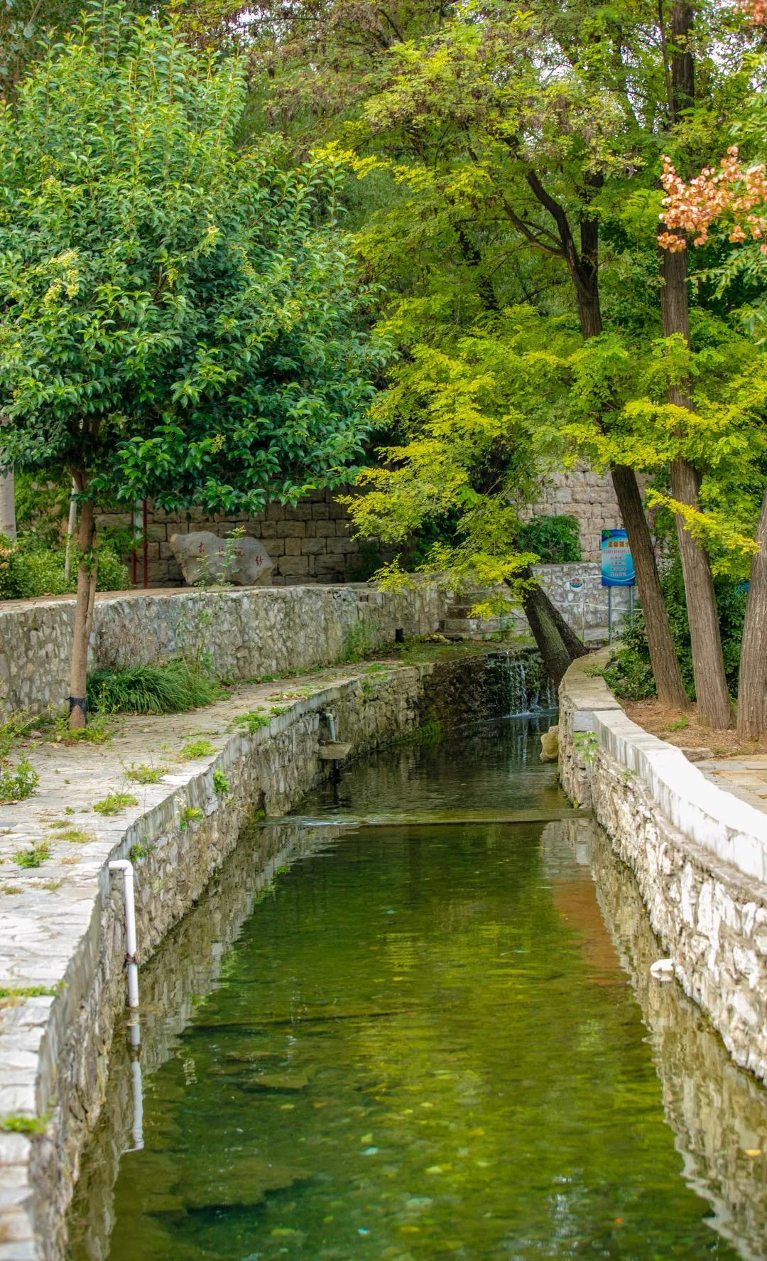 济南最值得看的景点,最全攻略济南这些地方美爆了