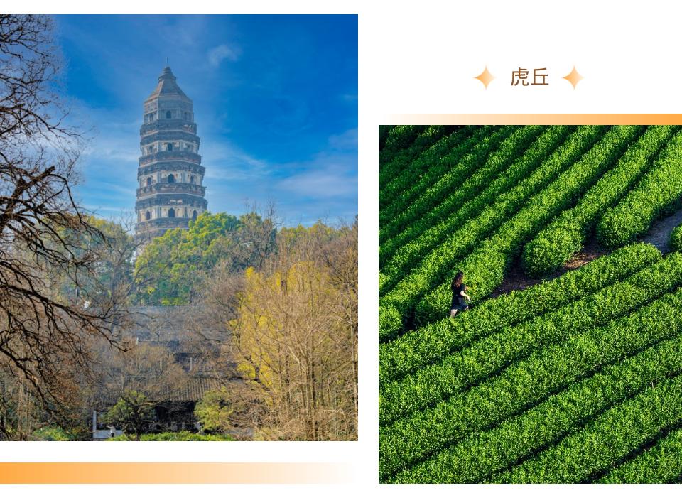 云南碧螺春和苏州碧螺春的区别,苏州茶叶碧螺春几月出来