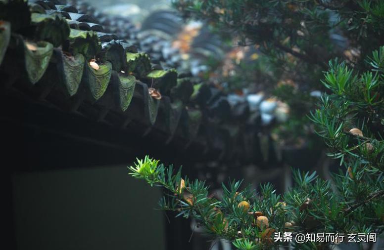 阿弥陀佛功德福德区别,佛教功德与福德的区别