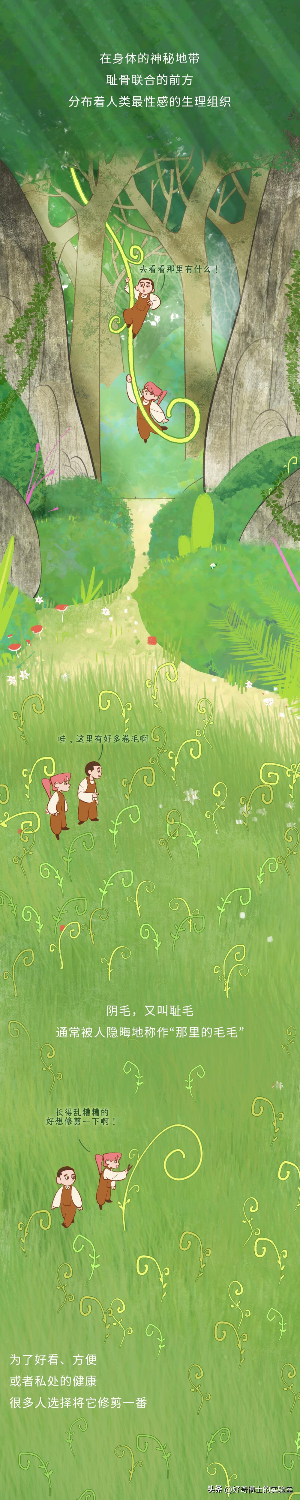 为什么头发浓密眉毛却很稀少,为什么头发是直的体毛是卷的