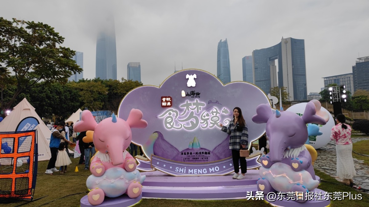 东莞市民摄影节,东莞市民摄影周入尾声