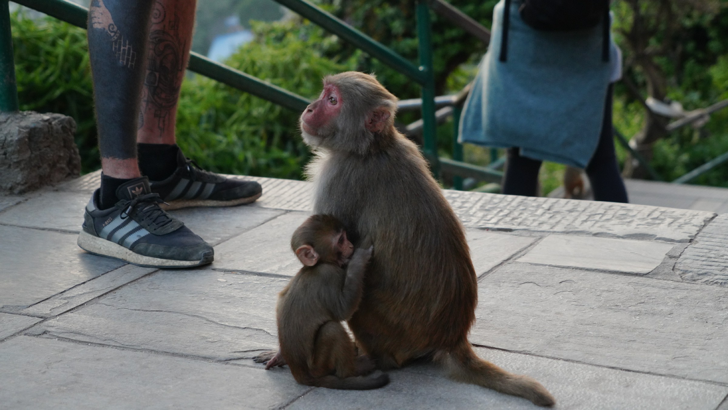 云中鹤游学,云中鹤户外