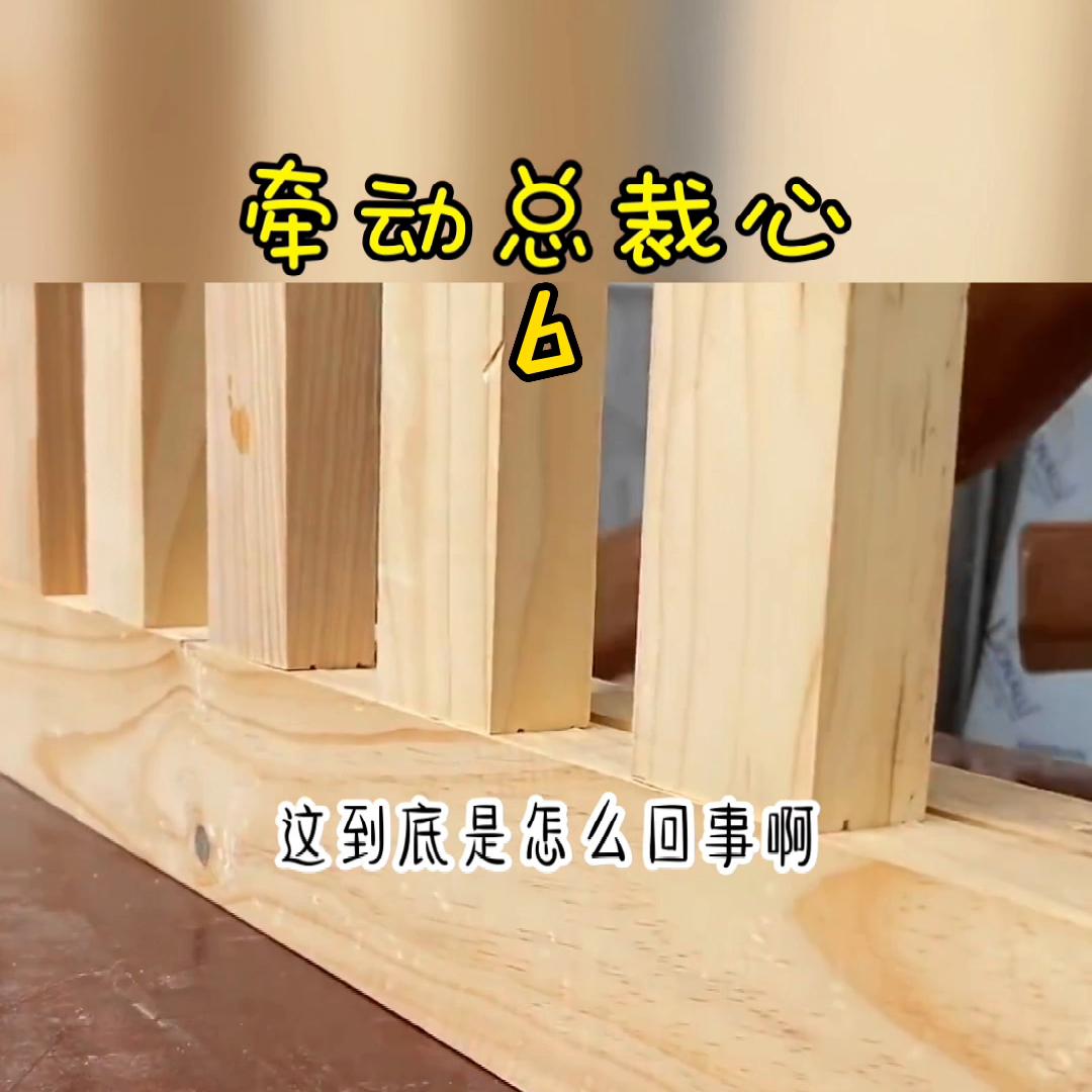 霸道总裁和小娇妻,霸道总裁爱上我